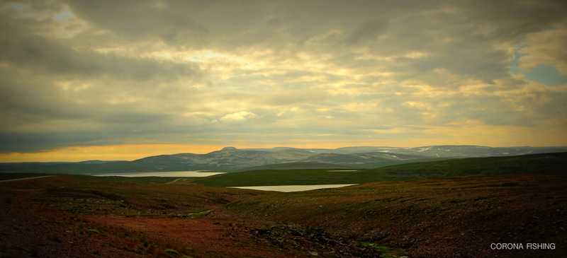 Tam gdzie zaczynają się strumienie.